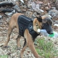 thumbnail image 4 of Tactical Dog Harness With Handle, 4 of 5