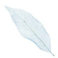 thumbnail image 4 of GUOOL 4- 50 Pcs Feuilles de Squelette de Magnolia Naturelles - Bleu 6 Pcs, 4 of 9