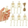 thumbnail image 5 of 10 Pack Skeleton Decorations, Articulated Posable Skeletons With Movable Joints, Perfect For Party Bar Haunted House Backroom Atmosphere Creation, 5 of 5