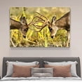thumbnail image 4 of Two Mule Deer Bucks Fighting Canvas Poster Bedroom Decor Sports Landscape Office Room Decor Gift,Frame-style,16x24inch(40x60cm), 4 of 8