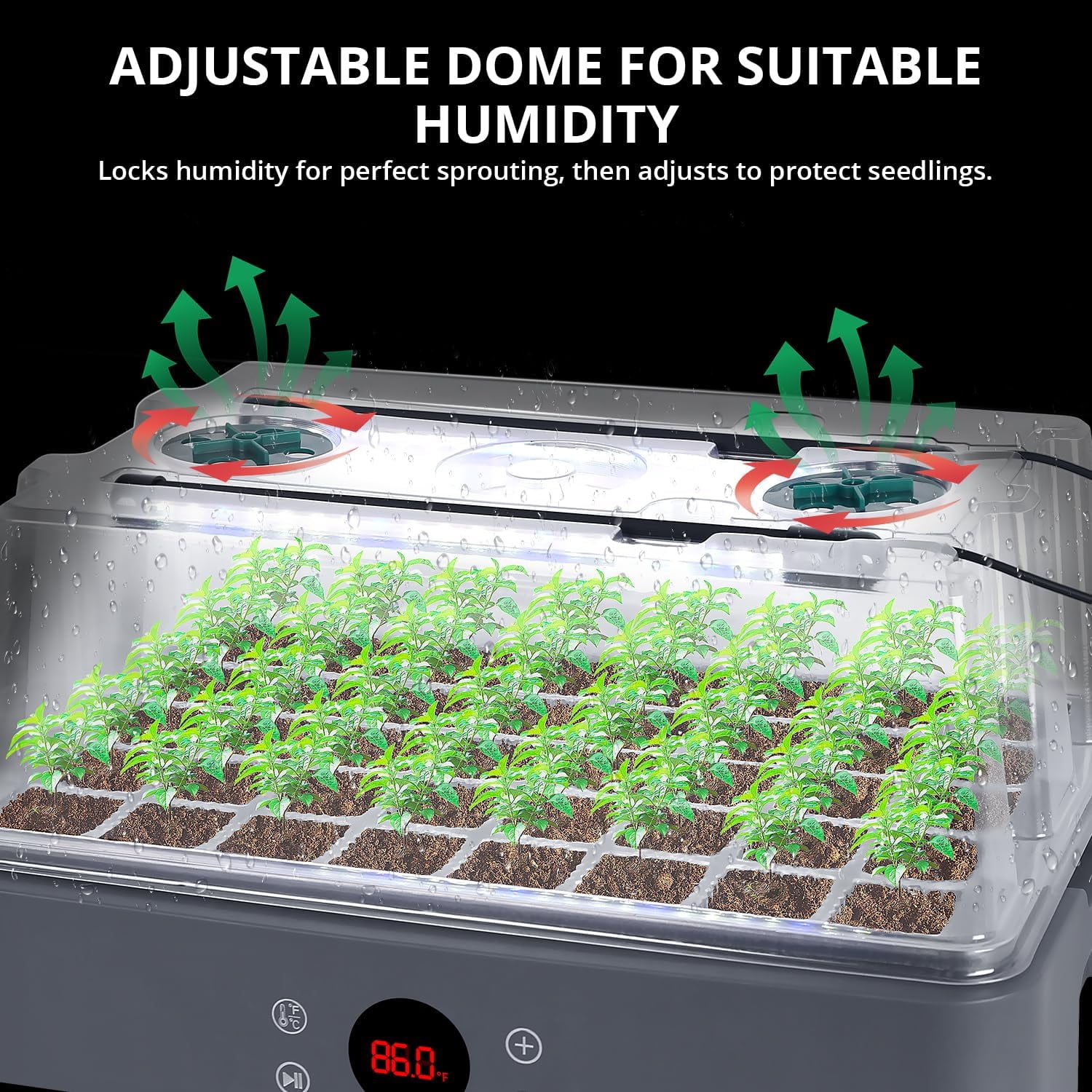 Adjustable Seed Starter Tray with Heated Germination Kit, Temperature Display, Humidity Dome, and Grow Light for Seedling Growth