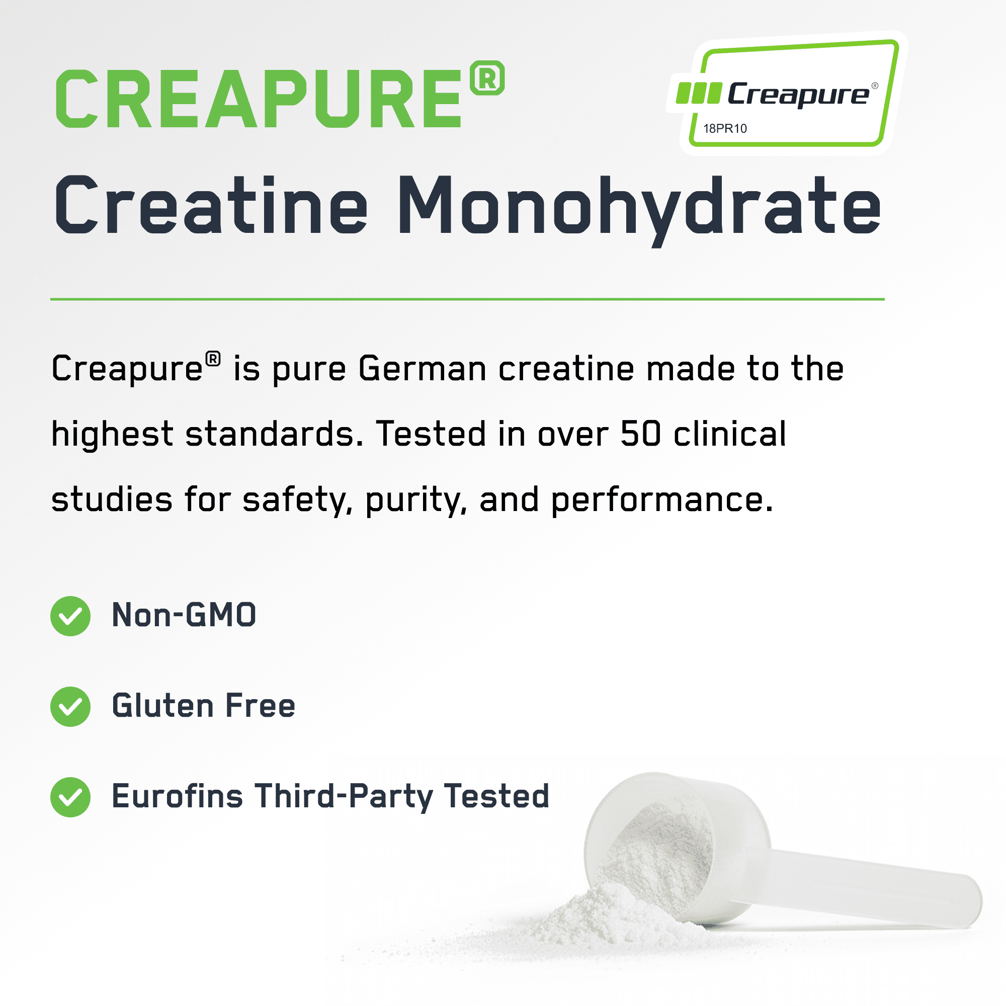 SteelFit Creapure Creatine Monohydrate Powder, Unflavored - German Micronized Creatine Powder for Men & Women - Gym Workout Nutritional Supplements for Muscle Gain, Brain Health & Strength Building