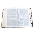 thumbnail image 2 of Biblia de Estudio del Diario Vivir Ntv (Sentipiel, Café/Rosa, Índice, Letra Roja), (Hardcover), 2 of 5
