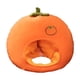 thumbnail image 2 of Sombrero de peluche de caqui, accesorio para fotos, gorro de fruta para cumpleaños, cosplay, carnaval, invierno., 2 of 10