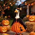 thumbnail image 6 of 2 Pcs Halloween Witch Themed Dress and Hat Set for 19 to 23 Inch Porch Goose Statue Fall Yard Decor with Black Cat and Pumpkin Motifs, 13.78 Inch, Clear, 6 of 7