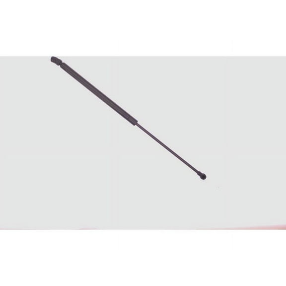 Hood Strut - Compatible with 2000 - 2002 Volkswagen Cabrio 2001