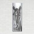 thumbnail image 3 of Luxe Metal Art 'Le Cheval Noir Horse Panel' by Alan Majchrowicz, Metal Wall Art, 16"x48", 3 of 7