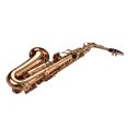 thumbnail image 4 of Eb Alto Saxophone Sax Brass Material Wind Instrument with Carry Case Gloves Cleaning Cloth Sax Straps Tuner, 4 of 7