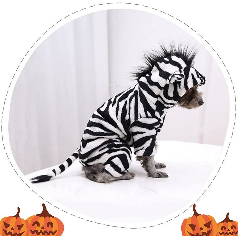 Zebra Dog Costume