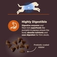 thumbnail image 5 of Wellness CORE Digestive Health Large Breed Adult Dry Dog Food, Wholesome Grain Kibble, Sensitive Stomach, Natural, High Protein, Chicken and Brown Rice Recipe, 24 lb Bag, 5 of 10