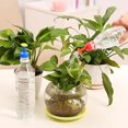 thumbnail image 3 of 16pcs Portable Bottle Cap Sprinkler Bottle Top Waterers Sprayers Household Watering Sprinkler Heads Plastic Watering, 3 of 5