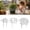 L, variant on 1 PCS Plant Support Ring, Metal Flower Support for Peony Hydrangea Rose, Heavy Duty Garden Stake for Blooming Plants