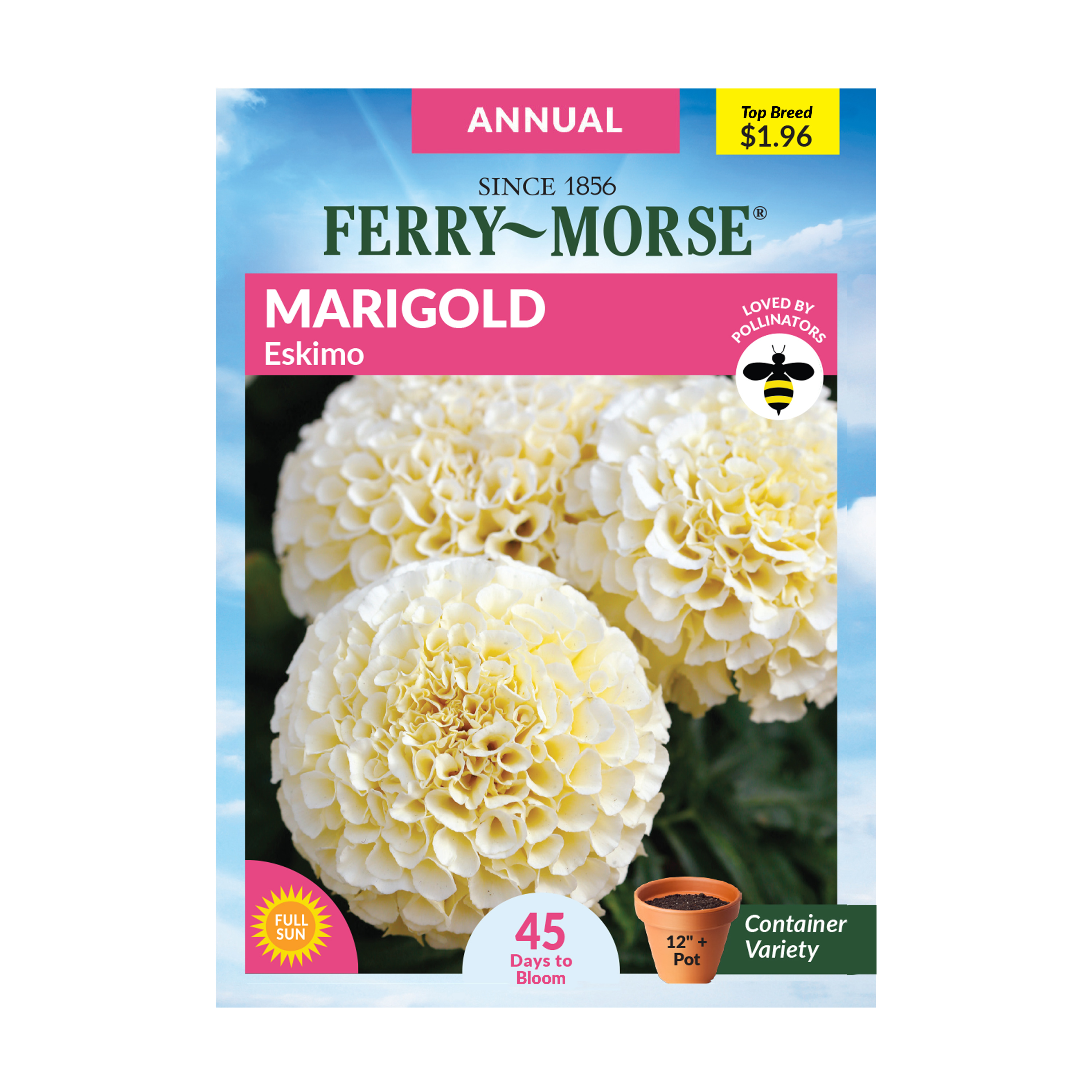 FerryMorse 15MG Marigold Eskimo Annual Flower Seeds Packet
