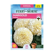 Ferry-Morse 15MG Marigold Eskimo Annual Flower Seeds Packet- Seed Gardening, Full Sunlight