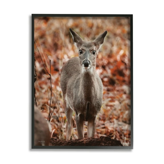 Stupell Industries Fawn in Autumn Nature Animals & Insects Photography Black Framed Art Print Wall Art, 11 x 14