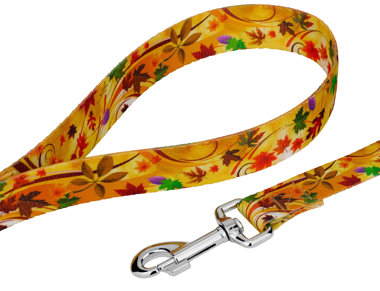 Country Brook Petz® Autumn Wind Martingale Dog Collar and Leash, Medium