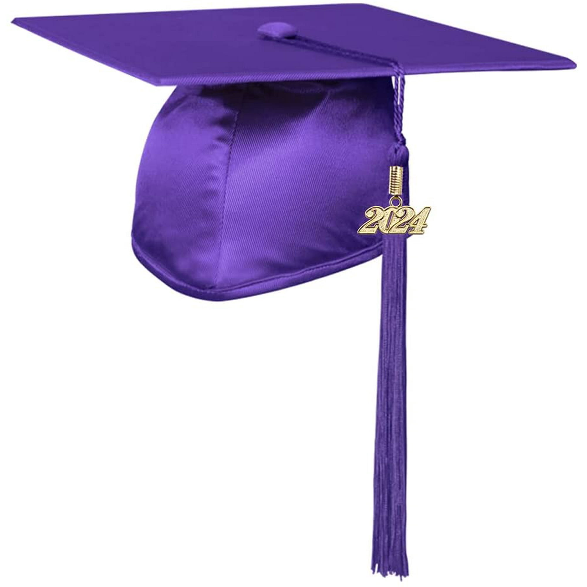 Endea Graduation Shiny Cap & Tassel (Purple, 2024), Adult Unisex