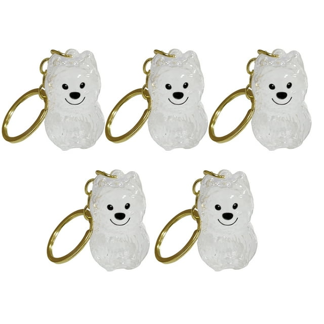 Pet Fur Remoke Capsule Collector Memorial Keychain (C) 5 Piezas