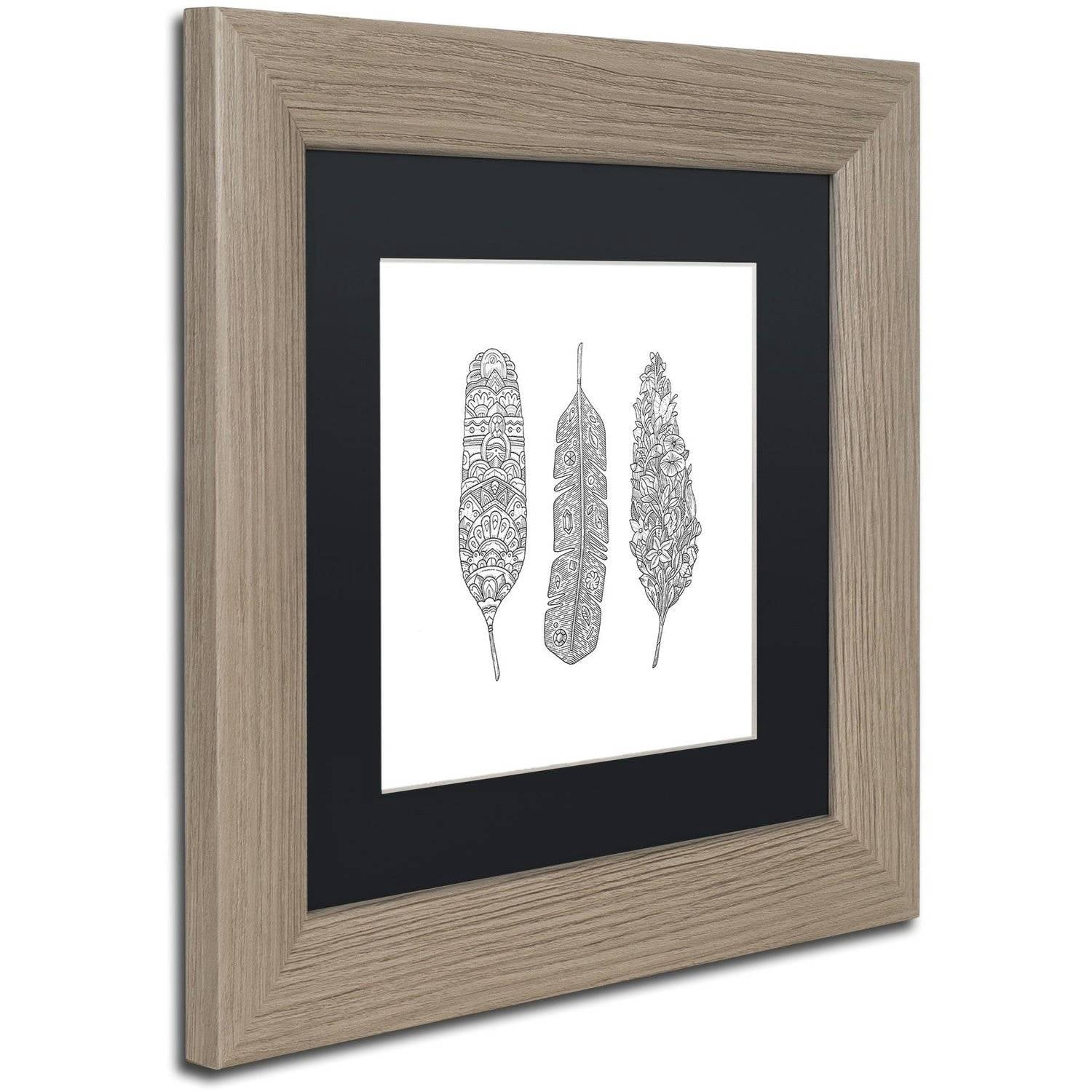 Trademark Fine Art 'Feathers' Canvas Art by Filippo Cardu Black Matte, Birch Frame