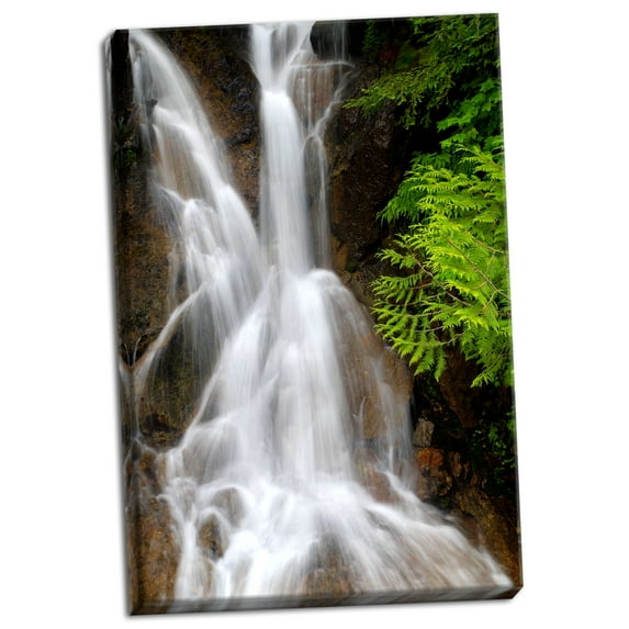 Gango Home Decor Falling Water I by Douglas Taylor (Ready to Hang); One 24x36in Hand-Stretched Canvas