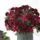 thumbnail image 4 of Ramo de hortensias artificiales de 16 cabezas, de plástico, sin agua, para decoración de bodas en casa, 4 of 5