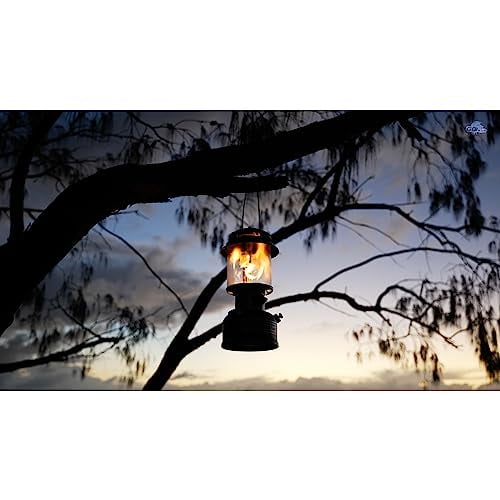 Coleman Powerhouse Dual-Fuel Lantern - Walmart.ca