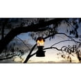 thumbnail image 3 of Coleman Powerhouse Dual-Fuel Lantern, 3 of 6