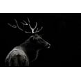 thumbnail image 2 of 1x 24x17 White Modern Wood Framed Museum Art Print Titled - Mei - The Deer Soul, 2 of 4