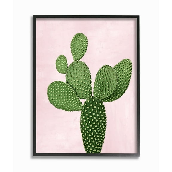 Stupell Industries Prickly Cactus Dessert Plant Nature Succulent Pink Green Framed Wall Art Design by Mia Jensen, 11" x 14", Black Framed