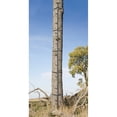 thumbnail image 4 of Big Game Hunting Quick Stick Steel Ladder Tree Climbing System, 20 Foot (3 Pack), 4 of 4
