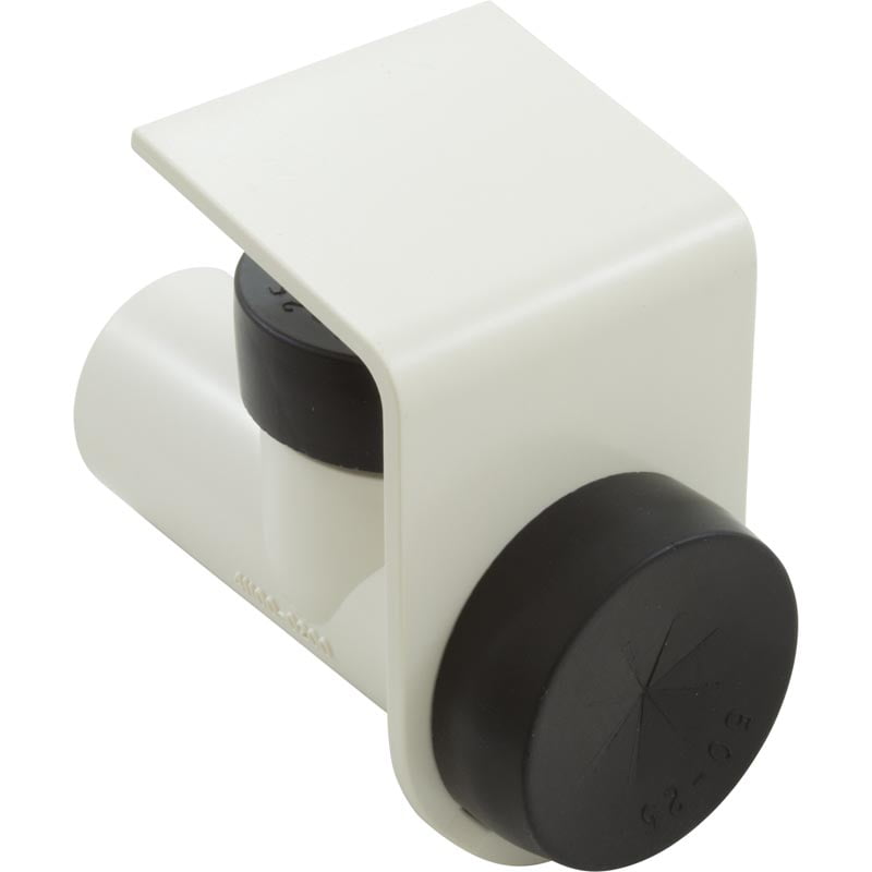 Pentair Aquatic Systems GW9016 Vacuum Regulator Assembly by Pentair Pool Products