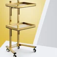 thumbnail image 2 of Stainless Tattoo Salon Trolley Utility Hairdresser Salon Furniture Multi-layer Barber Move Tool Cart Storage, 2 of 10