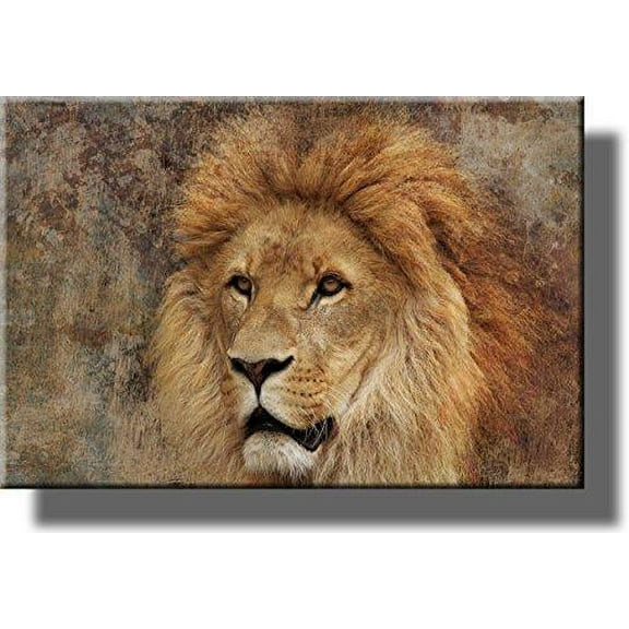 Lion Picture on Stretched Canvas, Wall Art Décor, Ready to Hang!