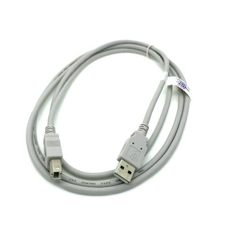 Kentek 6 Feet FT USB DATA Cable Cord For ROLAND EDIROL SD-20 SK-500 UM-550 UM-880 Audio Interface (Best Usb Audio Interface Under 500)