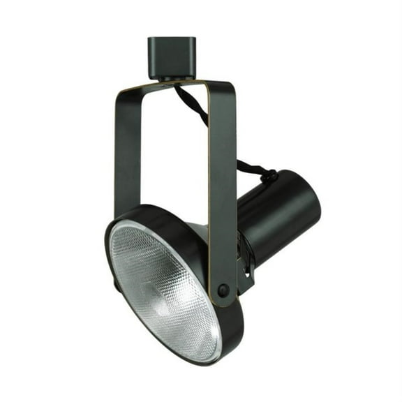 120V,Par38,90W Track Head