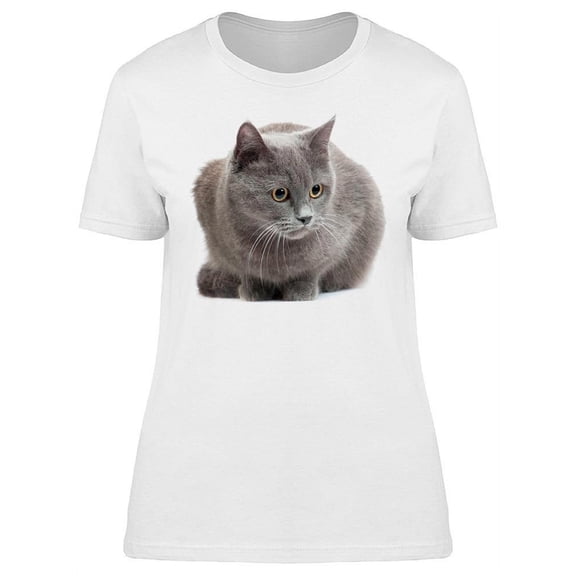 Dialated Pupils Russian Cat T-Shirt Women -Image by Shutterstock, Female Large