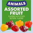thumbnail image 4 of Mott's Gluten Free Animal Assorted Fruit Flavored Snacks (40 Pouches), 4 of 16