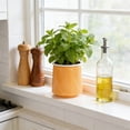 thumbnail image 4 of Self-Watering Transparent Flower Pot, Small Planter for Hydroponics, Automatic Watering System, Indoor Home Decor, 1-Pack, 4 of 6
