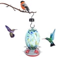 thumbnail image 2 of Comedero de agua para colibríes, herramienta de alimentación de pájaros de vidrio con pintura colorida para jardín y patio Q2, 2 of 15