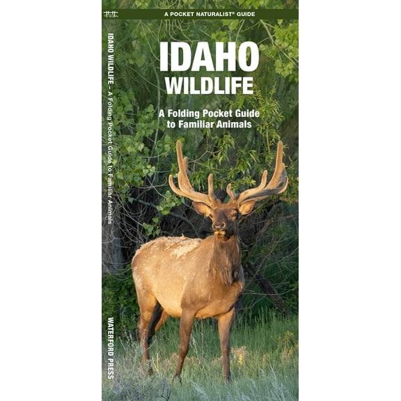 Nature Observation North America Idaho Wildlife, (Paperback)