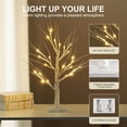 thumbnail image 3 of 2FT/24” Birch Tree Light with 24LT Warm White LEDs Battery Powered Timer for Christmas Decorations Indoor, Money Trees for Xmas Winter Wedding Desk Table Mantel Home Decor, 3 of 8