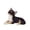Black, variant on VMWMSSR Hand Painted Resin Mini Figurine Statue Realistic Lying Dog Sculpture Decorative Animal Ornament For Car Living Room Cabinet Tabletop Decor(White-3.15")