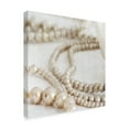thumbnail image 2 of Trademark Fine Art 'Antique Pearls' Canvas Art by Tom Quartermaine, 2 of 3