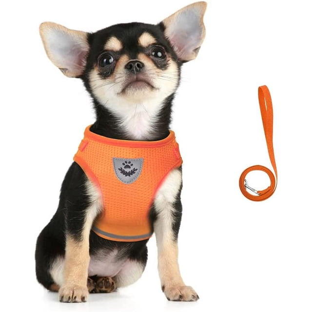 LAICAIW Dog Harness and Leash Set, No Pull Soft Mesh Pet Harness for Walking Escape Proof Small Cat Step-in Adjustable Vest with Reflective Strip Fit Puppy Kitten Rabbit, Orange (USGGBD0801)