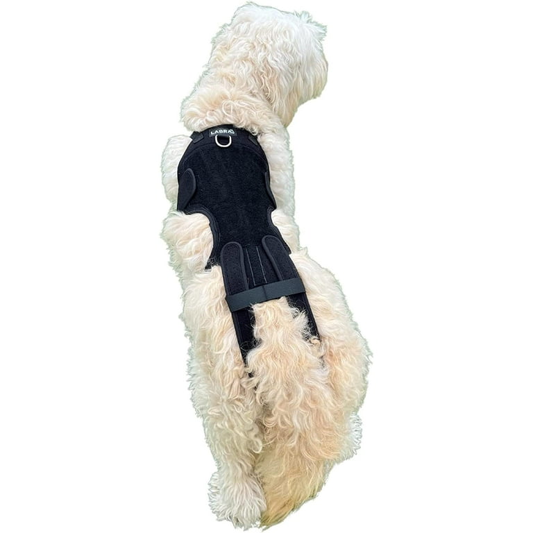 Large dog back brace cheap