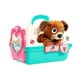 doc mcstuffin carrier