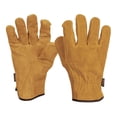 thumbnail image 1 of Guantes Carnaza Usos Generales Corto Truper Truper GU-245, 1 of 2