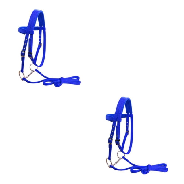 Toystoory Horse Bridle Rein Harness Headstalls Removable Blue M Snaffle Webbing Nylon Tipo 1 2Conjunto