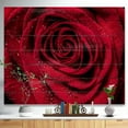 thumbnail image 2 of Design Art - Red Rose Petals with Rain Droplets, 2 of 5