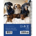 thumbnail image 2 of Crusoe the Celebrity Dachshund 2026 6.5 X 8.5 Engagement Calendar, (Hardcover), 2 of 5